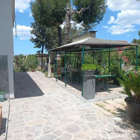 B&B 1898 - Villa Colonna Альтамура Екстер'єр фото
